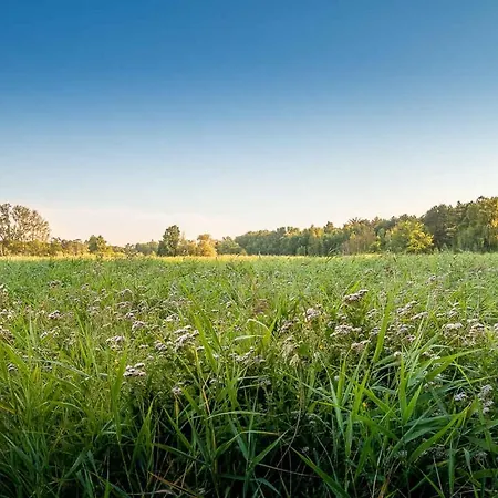 Architectdesigned 1976 Summer House Near