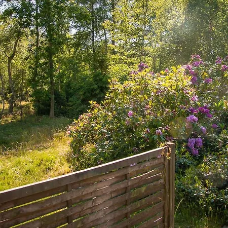 Architect-designed Summer House Near A Holiday home