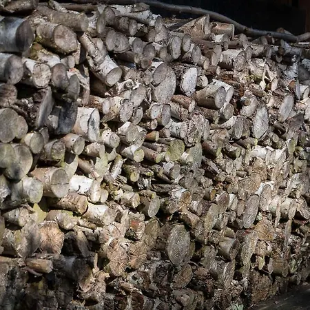 Architectdesigned 1976 Summer House Near