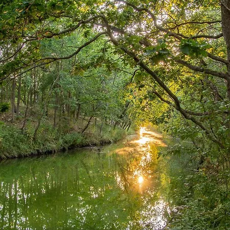 Prázdninový dům Architectdesigned 1976 Summer House Near